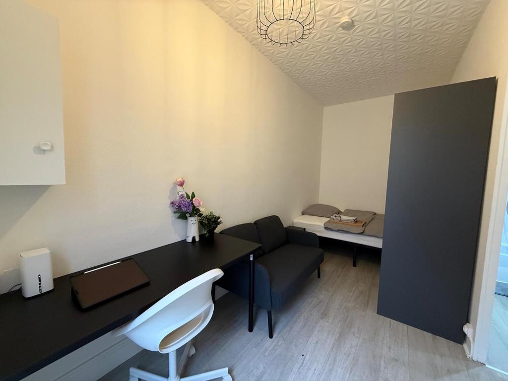 Cozy and functional studio - 3