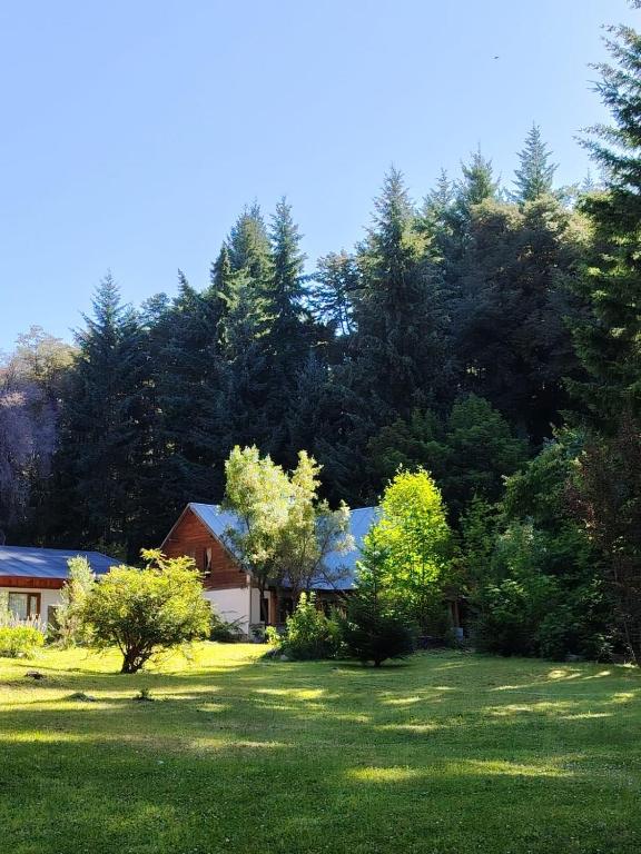 Bosque Hostel - 1