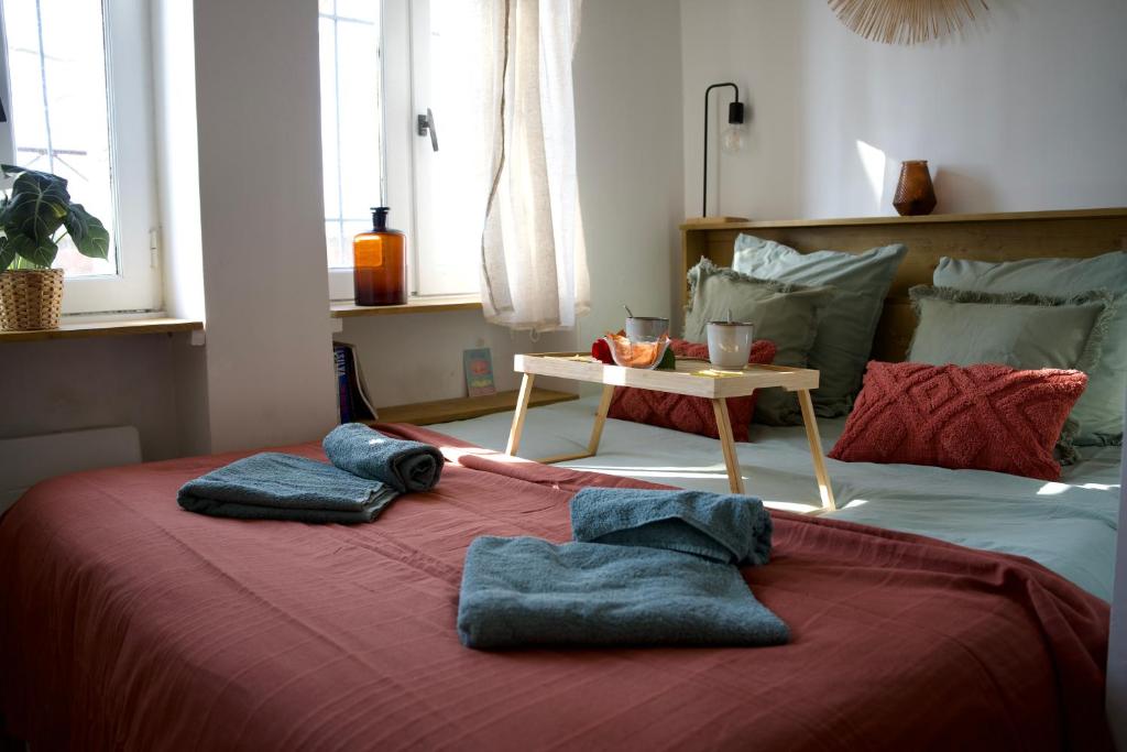 Centre historique de Toulouse - Appartement cosy face à la Garonne - L'écrin de Tounis - 1