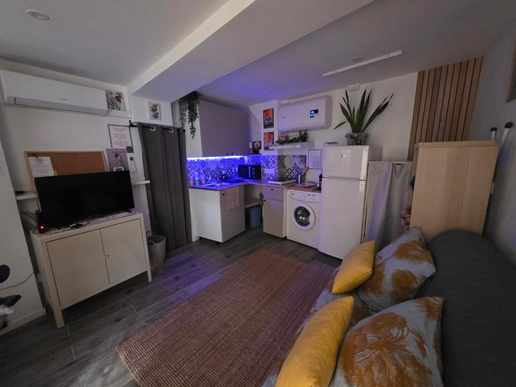 Atypique studio en bas du Château - 5