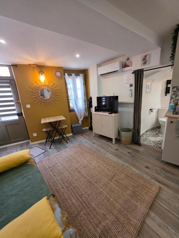 Atypique studio en bas du Château - 3