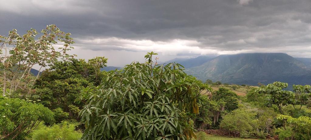 El Paraiso - B&B Finca San Vicente - 2