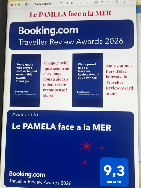 Le PAMELA face a la MER - 2