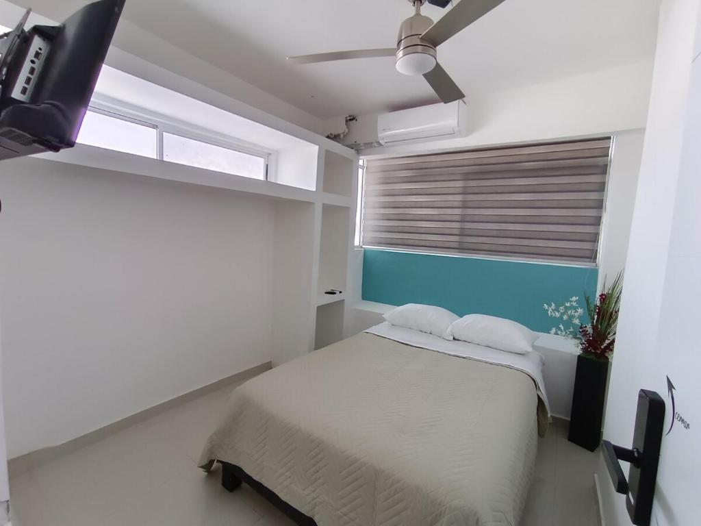 Habitacion - 1