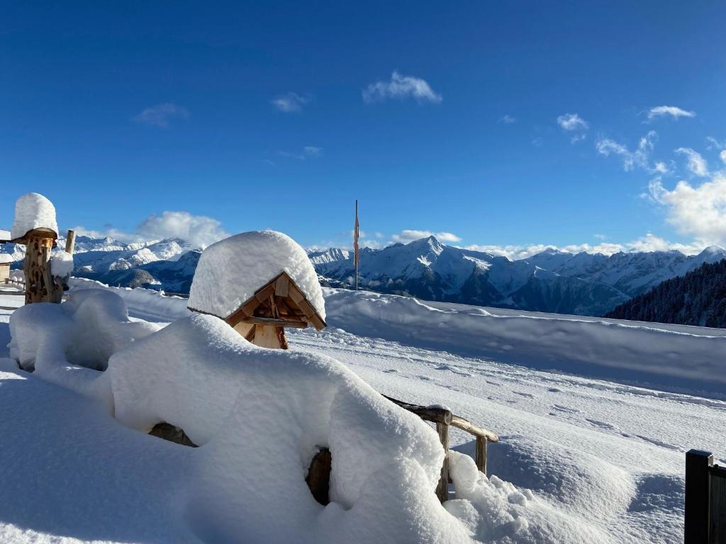 Unique alpine pasture in the Zillertal mountains - 5