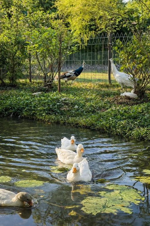 Surrounding environment