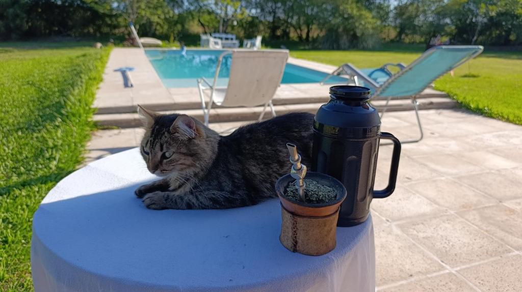 posada El descanso - 4