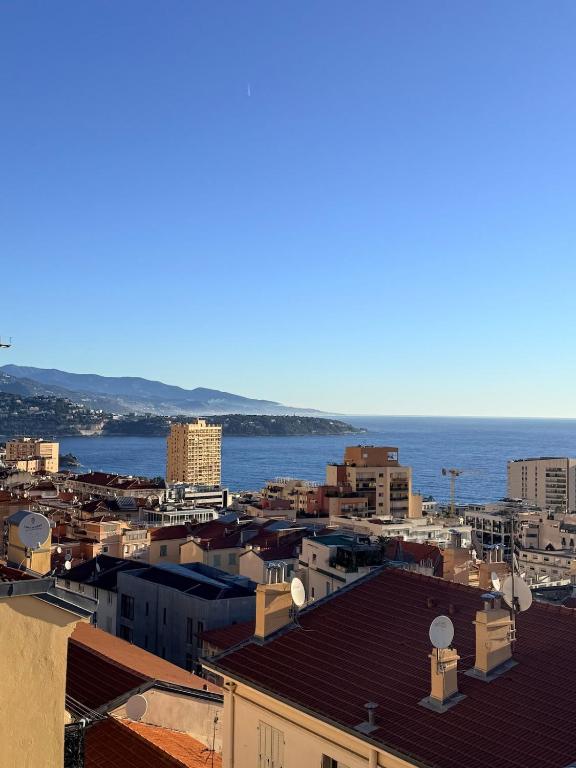 Monaco Monte-Carlo sea view! - 1