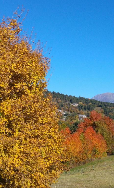 Les Roches Fleuries - 4