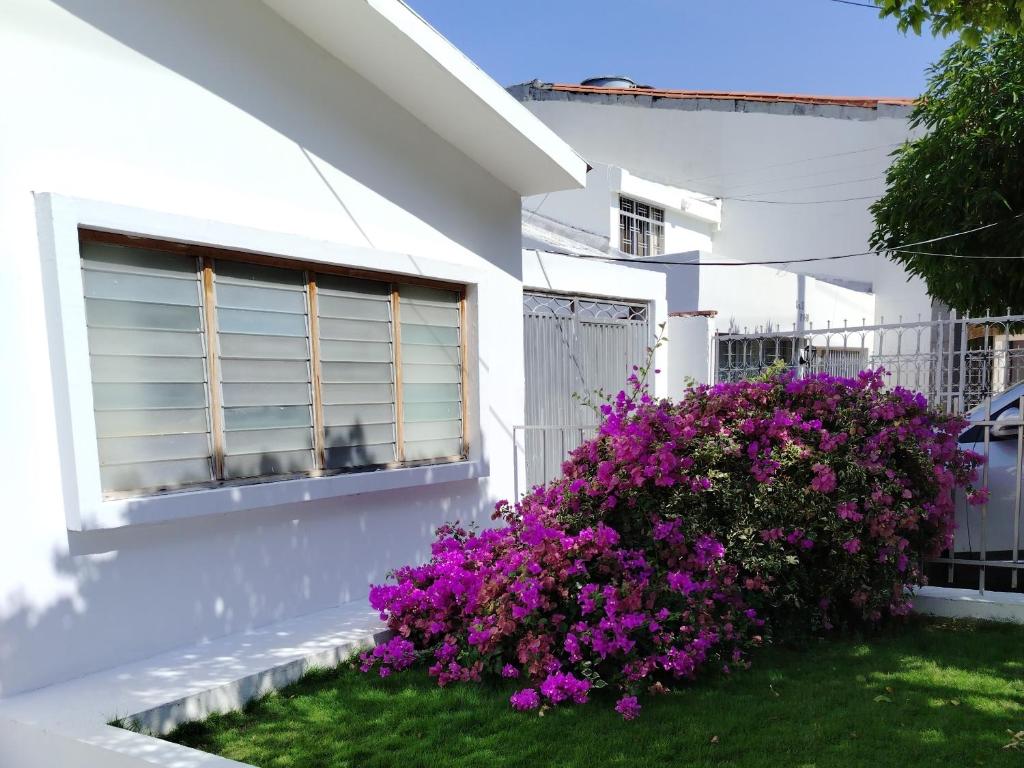 Aptos y casas Amobladas Arimatea - 1