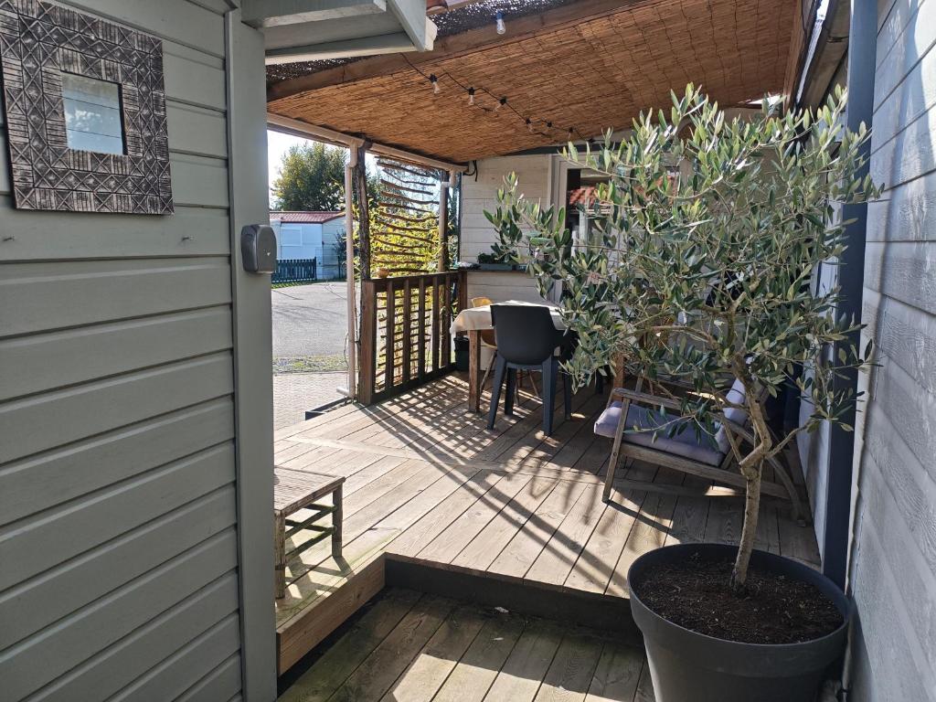 Maison 47m2 climatisé, piscine,linge fourni - 5