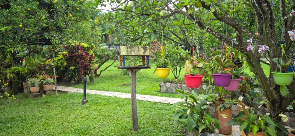 casa de campo alejandria - 2