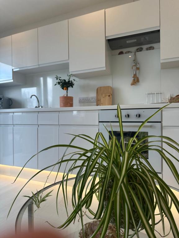 Ocean Drive Boutique Apartment, Brean, Brean - pet-friendly stay