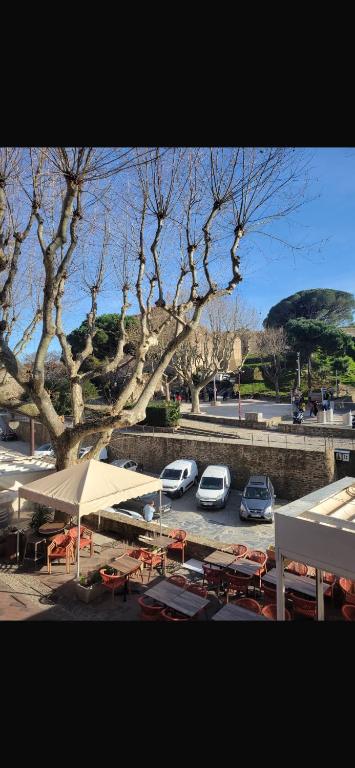 Collioure appartement hyper centre - 3