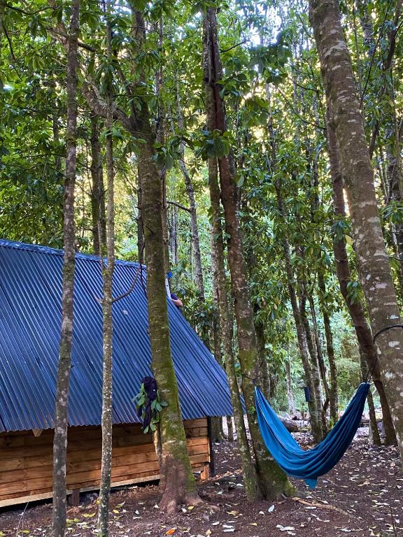 Coigüe Lodge - Villarrica - desayuno incluido - 5