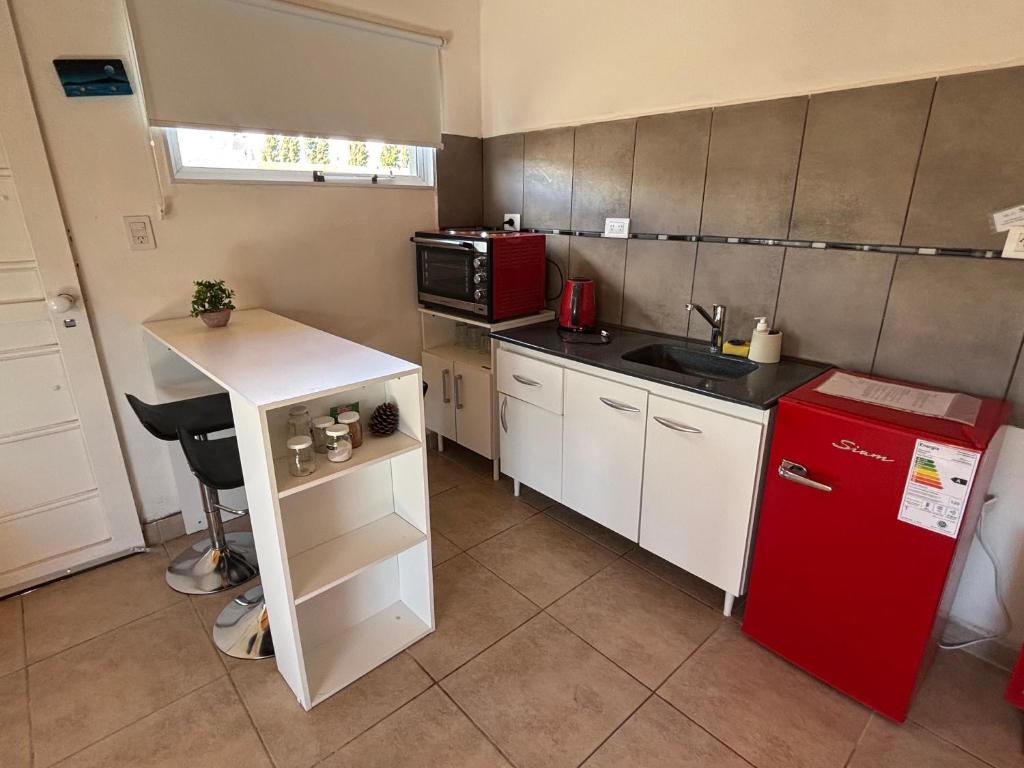 Laguna de los Cisnes - 5