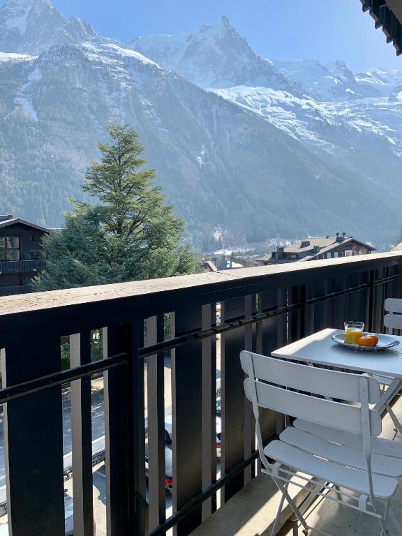 Superbe T3- Vue Mont-Blanc- Au pied du Brévent- Chamonix - 3