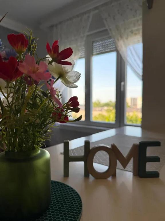 Modern Cosy apartment Vračar - 5