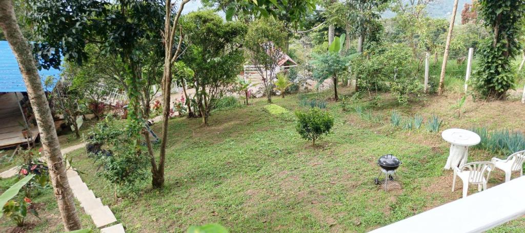 Glamping Eco Azulejo - 4