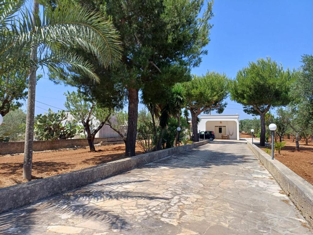 Casa Natale - 2