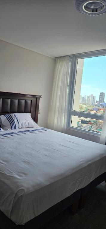 luxurious area and safer than Iquique - 5