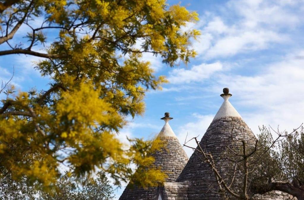 Trullo Dei Fiori - 3