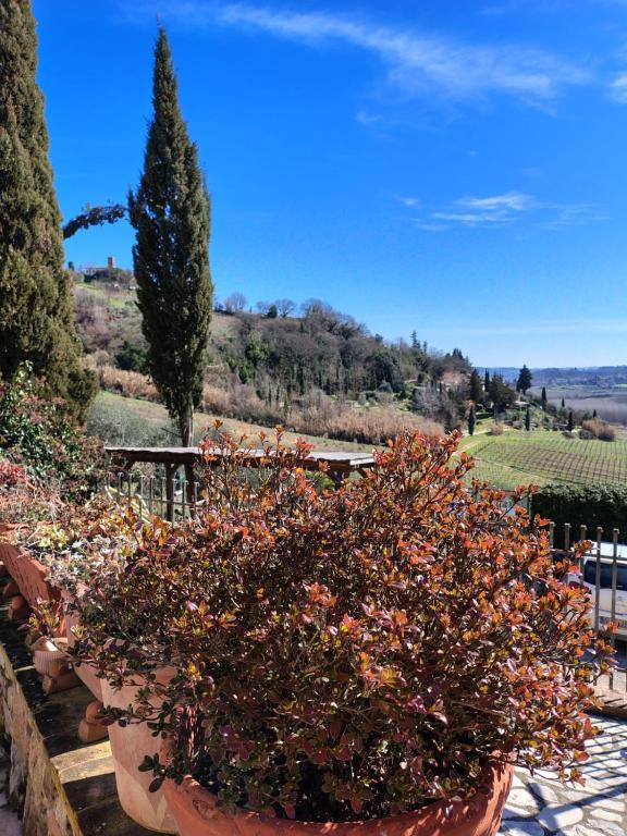 La Casina di Ancicucco 1 - 1
