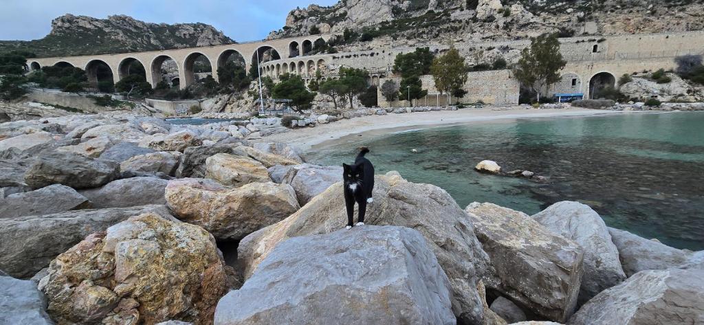Marseille Estaque - 2