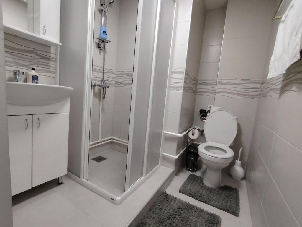 Apartman Pavlica - 2