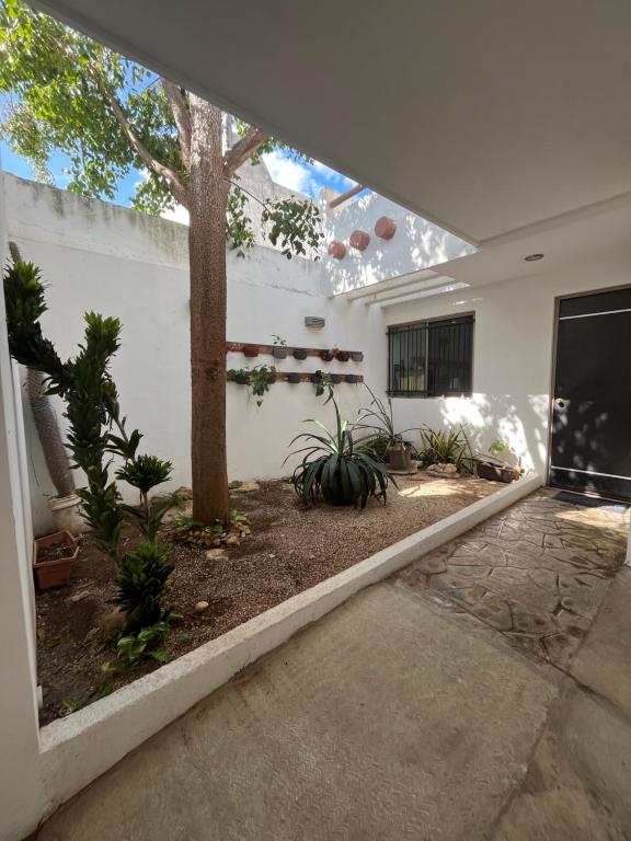 Casa luz - 3