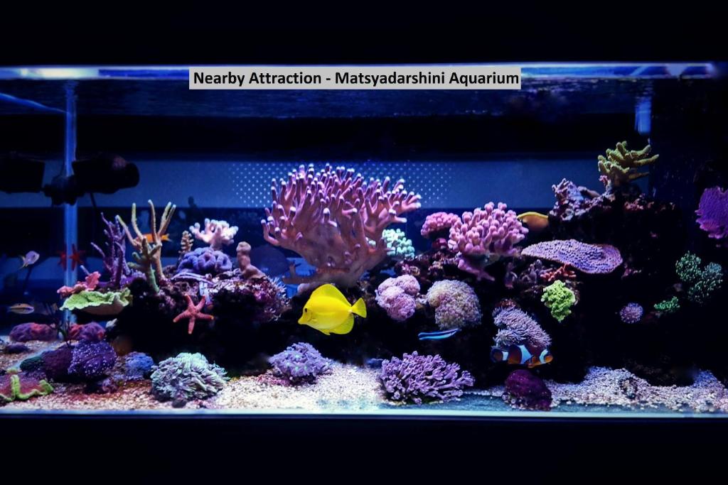 周辺観光スポット