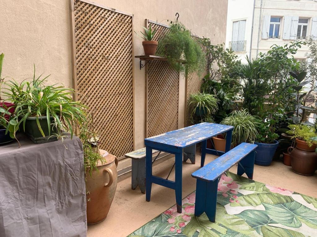 Grand appartement, terrasse, centre-ville - 2