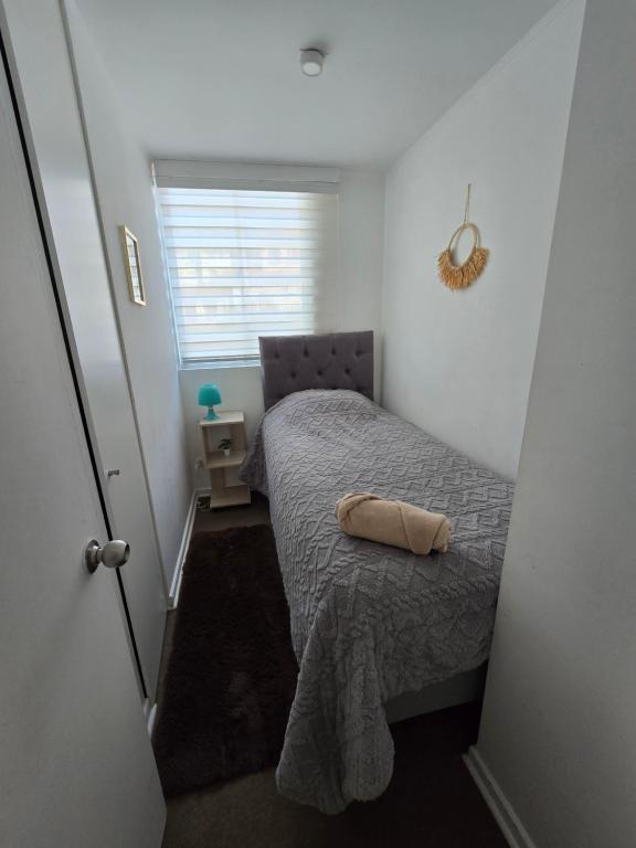 Familiar y hermoso Departamento 3 dormitorios - 2