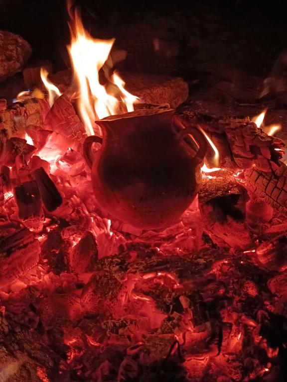 Ruka cabaña - Alojamiento Tradicional Mapuche - 2