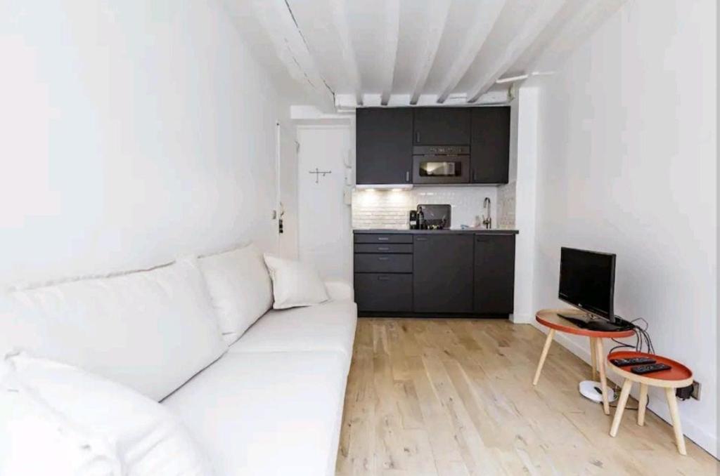 Appartement au cœur du marais - 1