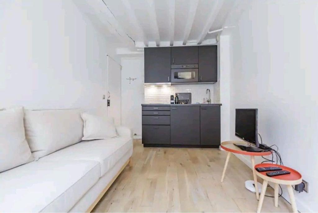 Appartement au cœur du marais - 2