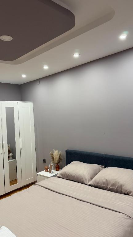 Luksar Apartment Niš - 3