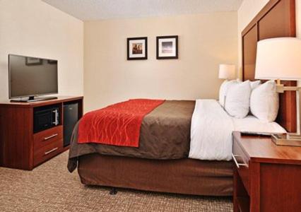 Comfort Inn & Suites Denver Northfield photo