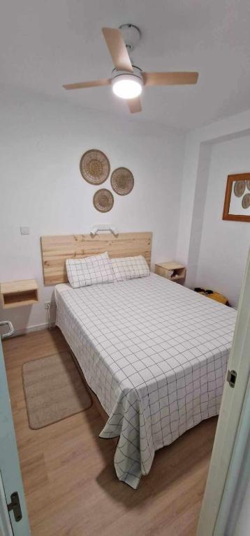 Estudio Conil de la Frontera - 5