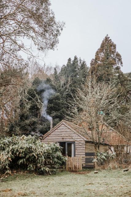 Sky Cabin - pet-friendly forest log cabin near Wareham, Dorset