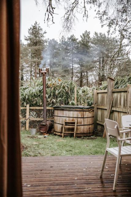 Sky Cabin - Forest Log Cabin near Wareham photo 5
