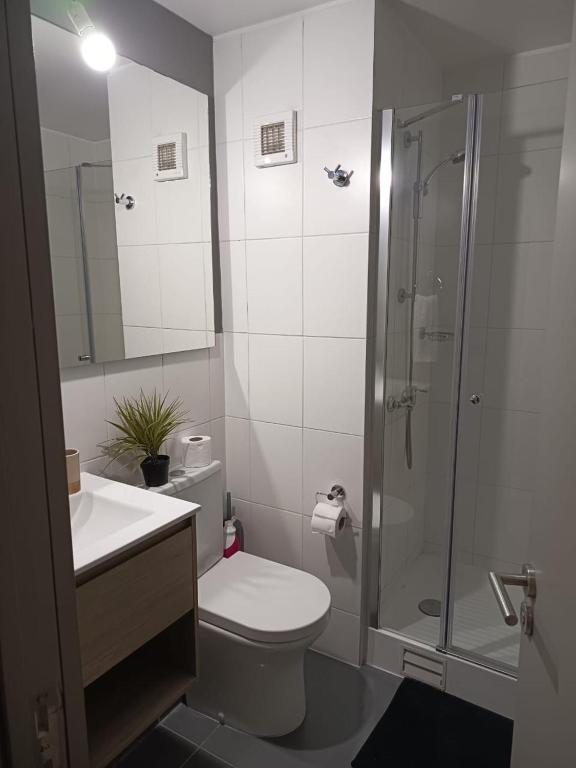 Apartamento movistar arena santiago - 5