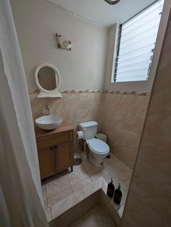 Barranco house with private rooftop jacuzzi & gym - 5
