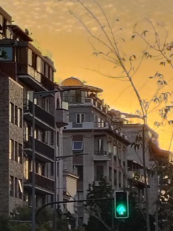 La Cúpula de Plaza Italia - 2