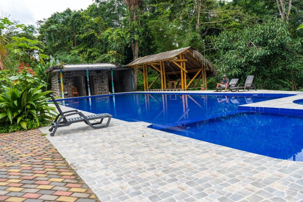 Coati Lodge Misahualli - 3