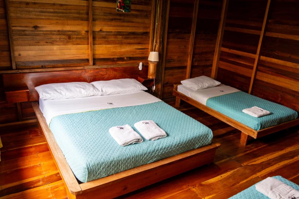Coati Lodge Misahualli - 5