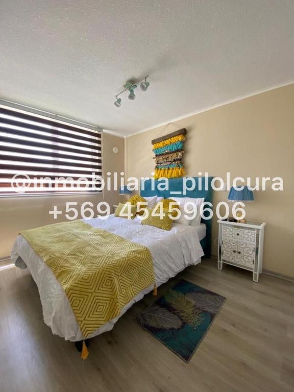 Departamento Pucon - 3