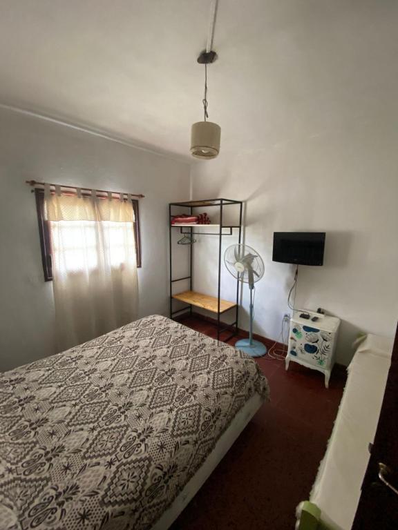Casitadelavid - 1