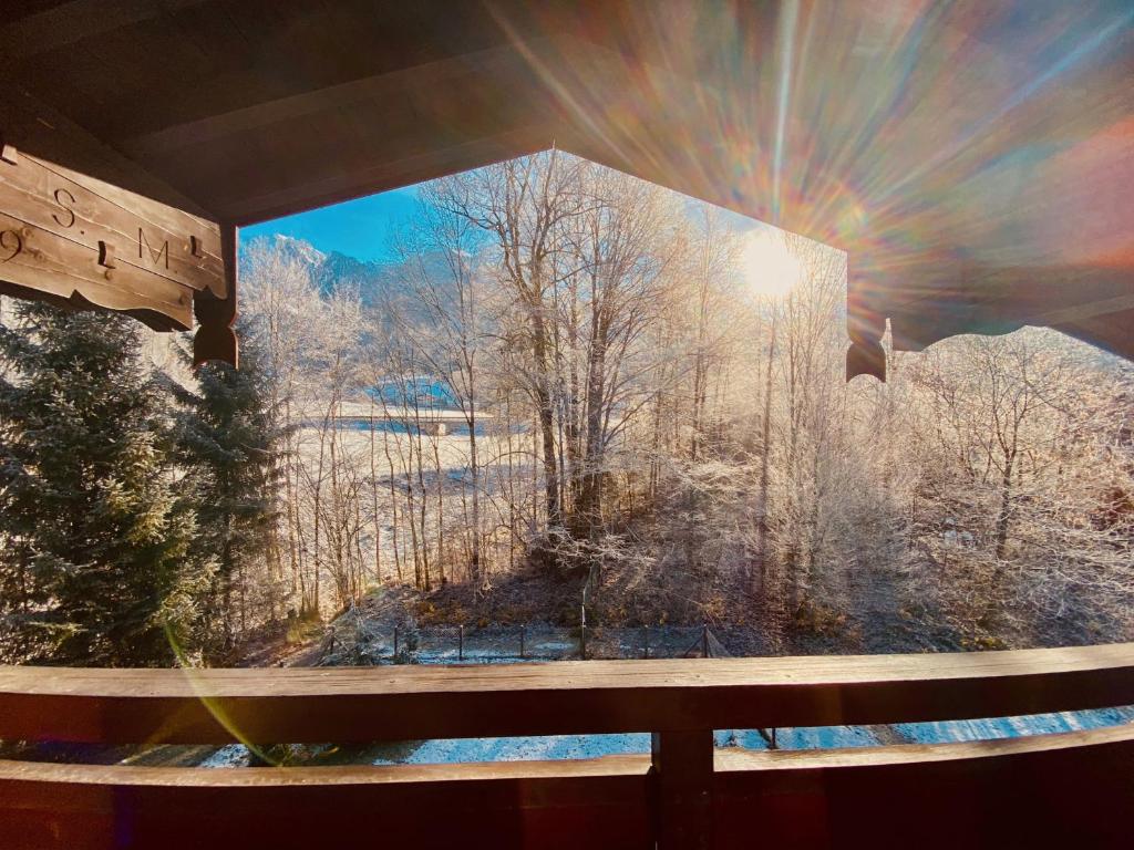 FeWo Schneewinkllehen - 4
