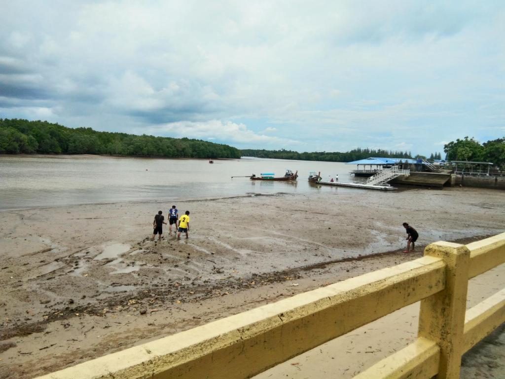 アクティビティ